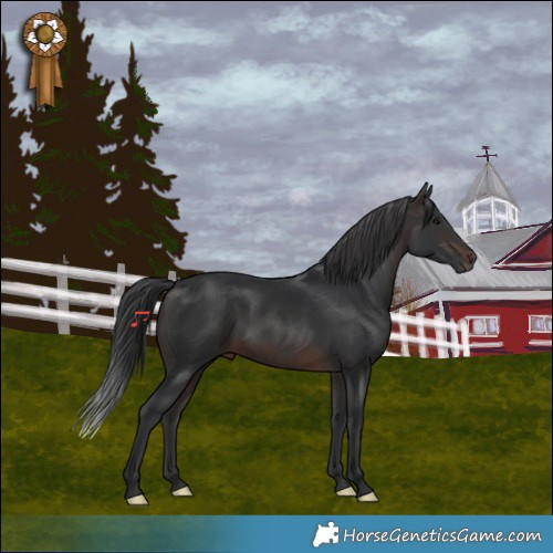 Horse Color:Brown 