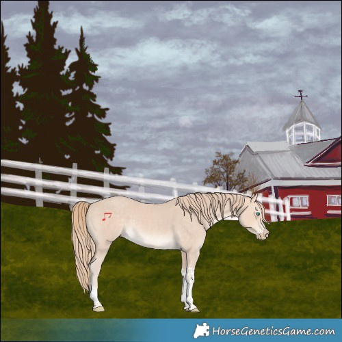 Horse Color:Perlino Tobiano Rabicano 