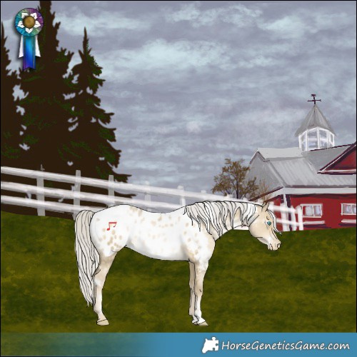Horse Color:White Spotted Silver Buckskin Snowdrop Dun Near Leopard Rabicano 