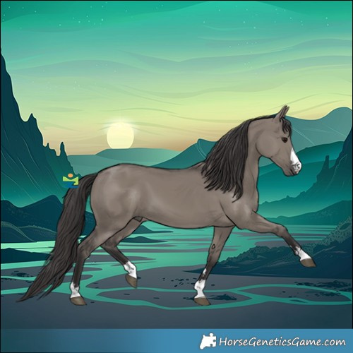 Horse Color:Smoky Grullo 