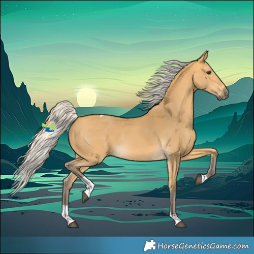 Horse Color:Silver Buckskin Tobiano 