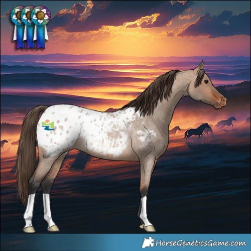Horse Color:Bay Roan Dun Blanket Rabicano 