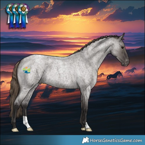 Horse Color:Smoky Grullo Roan Varnish