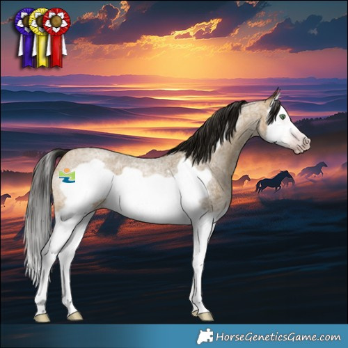Horse Color:Gray Sable Cream Champagne Roan Splash Frame 