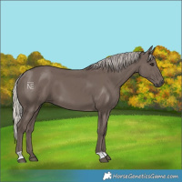 Horse Color:Silver Black 