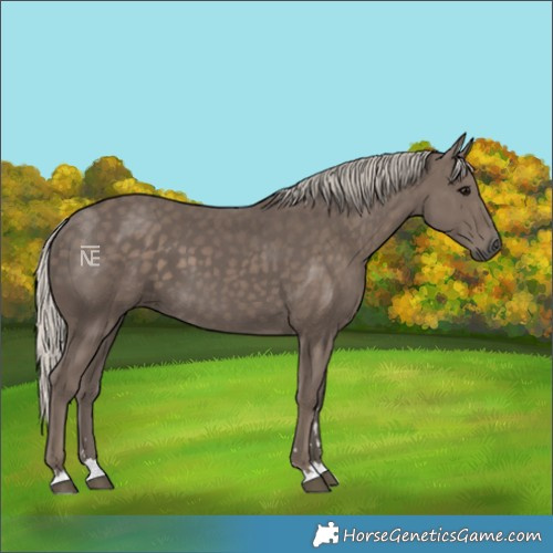 Horse Color:Silver Black