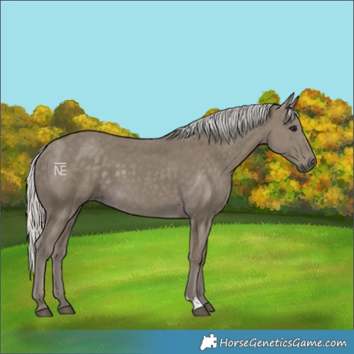 Horse Color:Silver Smoky Black 