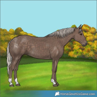 Horse Color:Silver Black 