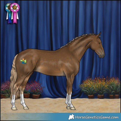 Horse Color:Chocolate Palomino 