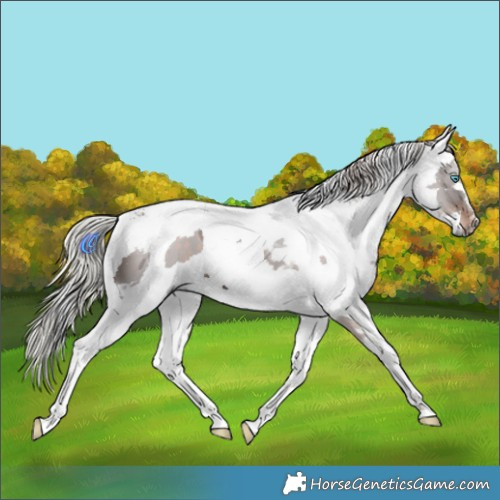 Horse Color:Silver Brown Harlequin Merle Tobiano
