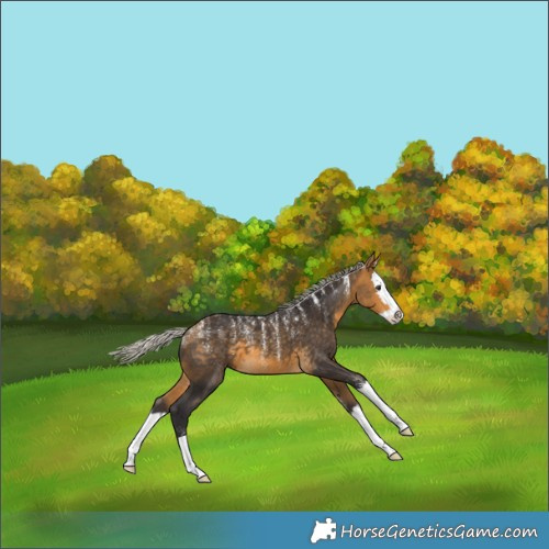 Horse Color:Powder White Silver Buckskin Splash