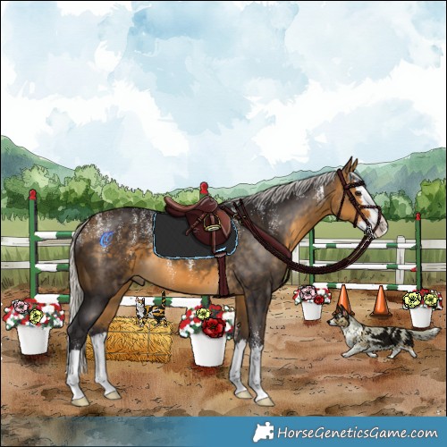 Horse Color:Powder White Silver Buckskin Splash 