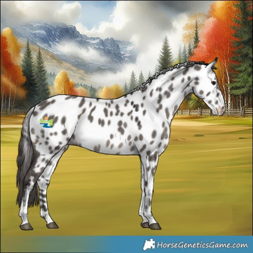 Horse Color:Smoky Grullo Tobiano Near Leopard 