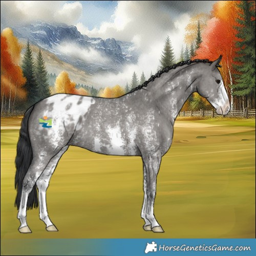 Horse Color:Grullo Sabino Varnish