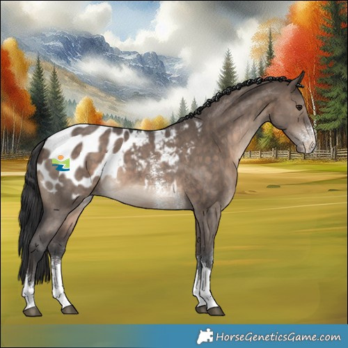 Horse Color:Brown Dun Sabino Tobiano Blanket 