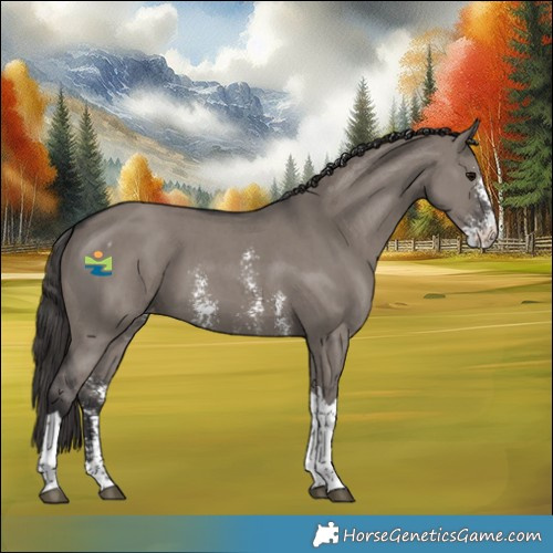 Horse Color:Smoky Grullo Sabino Tobiano Skewed LP Spotted 