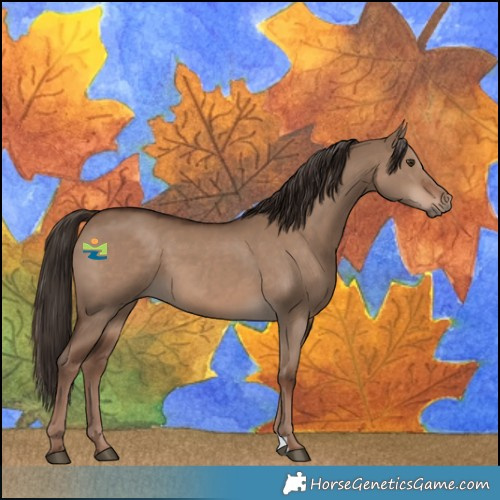 Horse Color:Liver Red Dun 