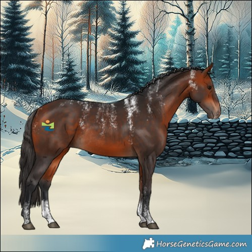 Horse Color:Powder White Bay Rabicano 