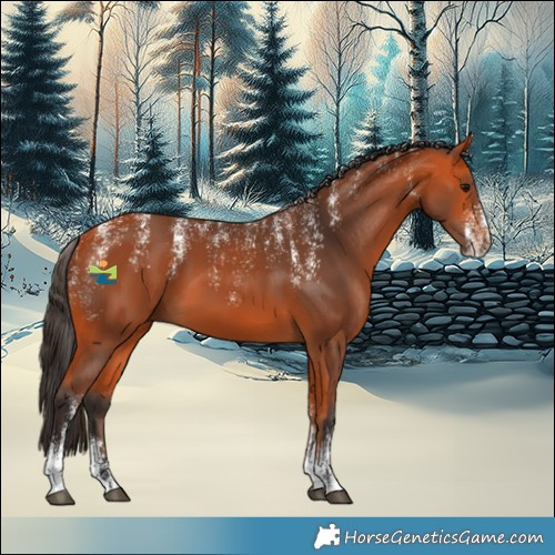 Horse Color:Powder White Bay 