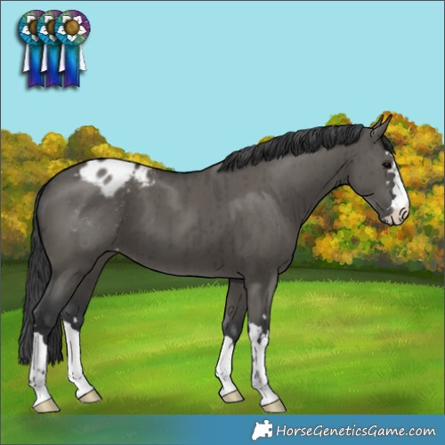 Horse Color:Grullo Varnish Brindle