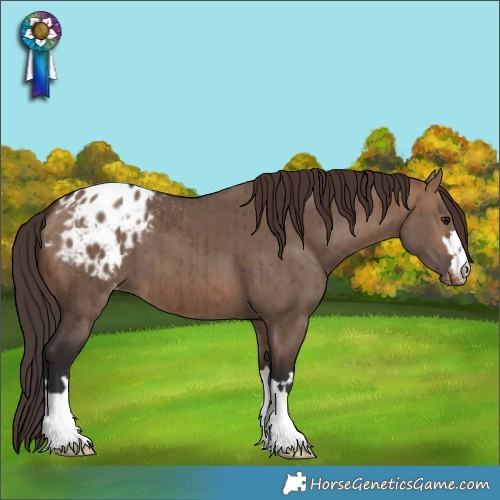 Horse Color:Brown Dun Varnish Brindle