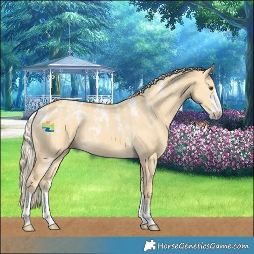 Horse Color:Powder White Palomino Dun 