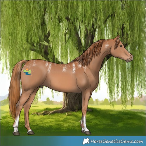 Horse Color:Powder White Chestnut