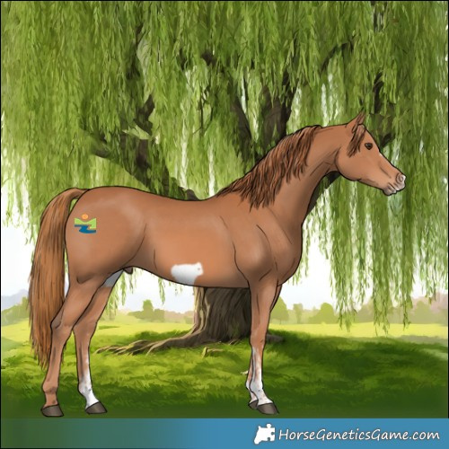 Horse Color:Chestnut Sabino Frame