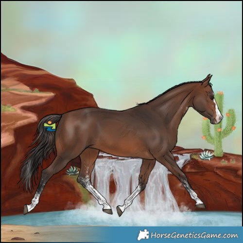 Horse Color:White Spotted Brown Splash 