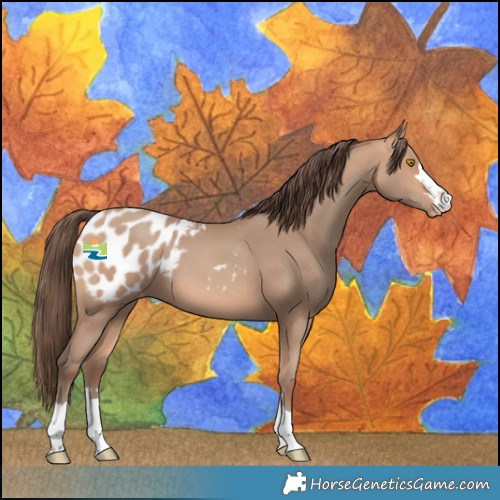 Horse Color:Amber Champagne Blanket