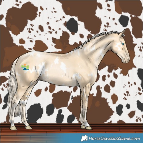 Horse Color:White Spotted Palomino Pearl 