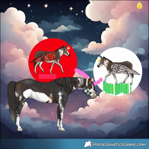 Horse Color:Brown Sabino Frame