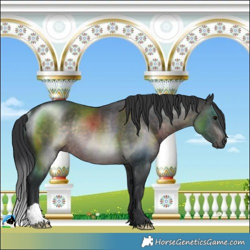 Horse Color:Platinum Brown Rabicano