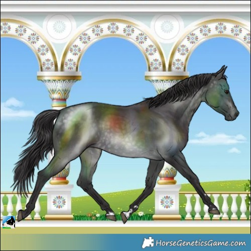 Horse Color:Platinum Buckskin Rabicano