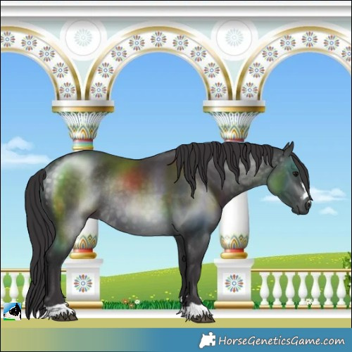 Horse Color:Platinum Buckskin Rabicano 
