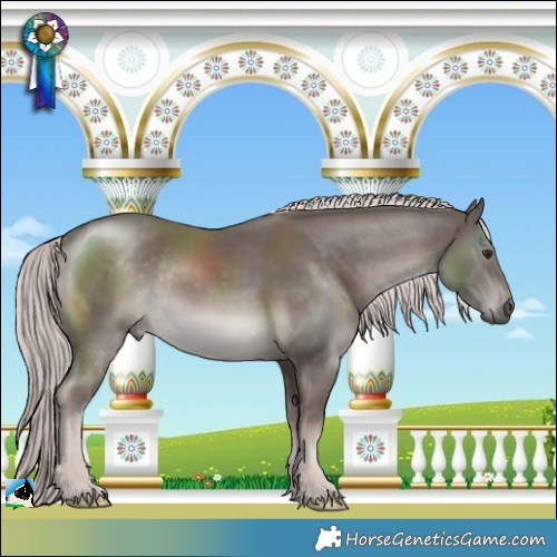 Horse Color:Platinum Chocolate Palomino Rabicano 
