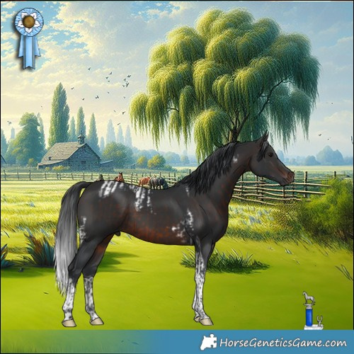 Horse Color:Brown Tobiano and Brown Tobiano