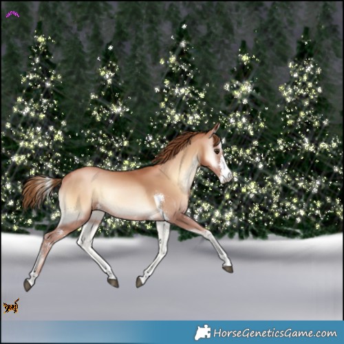 Horse Color:Red Onyx Pearl Sabino