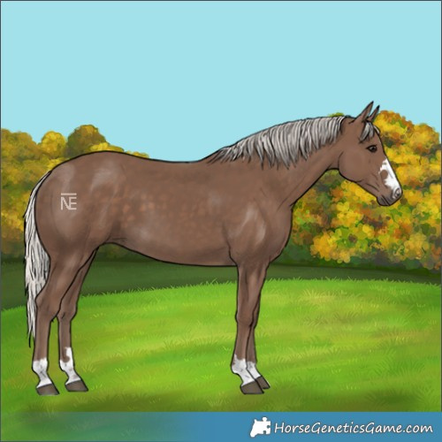 Horse Color:Silver Black