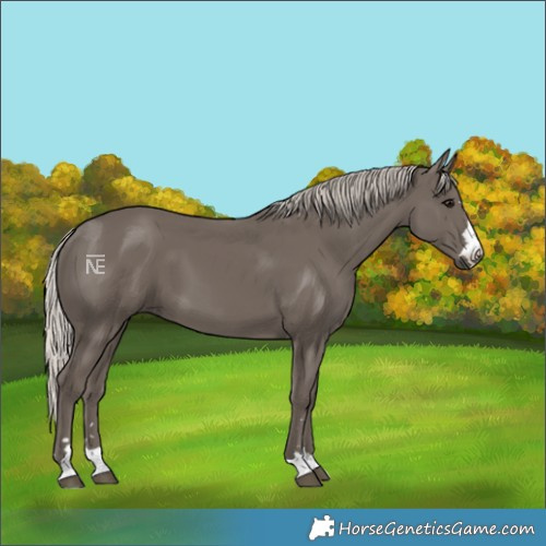 Horse Color:Silver Black