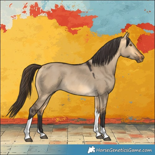 Horse Color:Pseudo Buckskin Dun Tobiano 