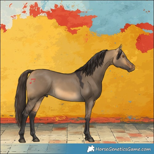 Horse Color:Pseudo Buckskin Dun Rabicano