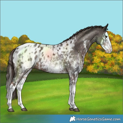 Horse Color:Liver Chestnut Sabino Splash Blanket  and Liver Chestnut Sabino Splash Blanket 
