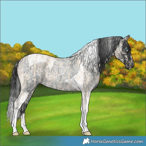 Horse Color:Silver Smoky Creme Tobiano and Blue Roan Tobiano