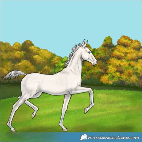 Horse Color:Cremello Dun Tobiano