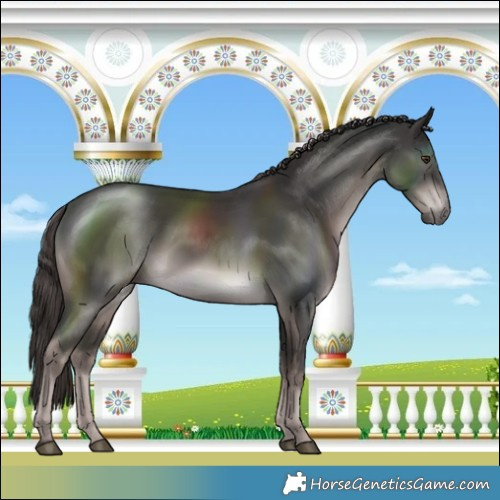 Horse Color:Platinum Liver Chestnut Rabicano
