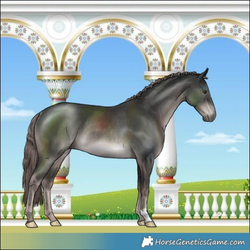 Horse Color:Platinum Liver Chestnut Rabicano