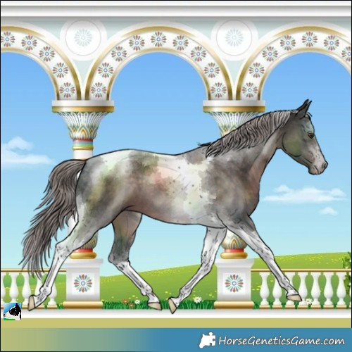 Horse Color:Platinum Liver Chestnut Tobiano 