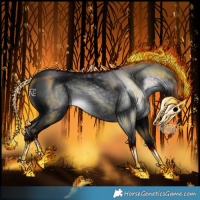 Horse Color:Gray Black 