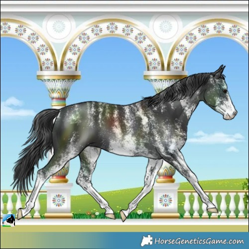 Horse Color:Powder White White Spotted Black